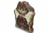 Red and White Jasper Bookends - Marston Ranch, Oregon #258327-1